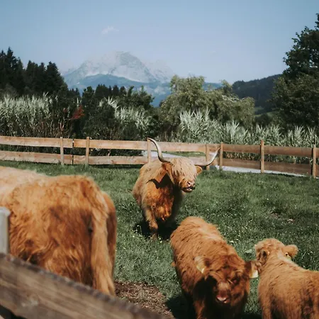 فندق Farm Grosslehen فيبربرن