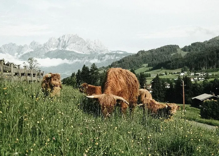 Farmhotel & Grosslehen 4*