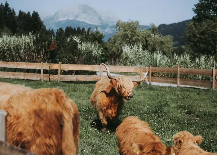 فندق Farmhotel & Grosslehen فيبربرن