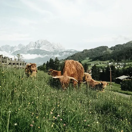 Farmhotel & Grosslehen 4*