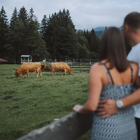 Farm Grosslehen Hotel